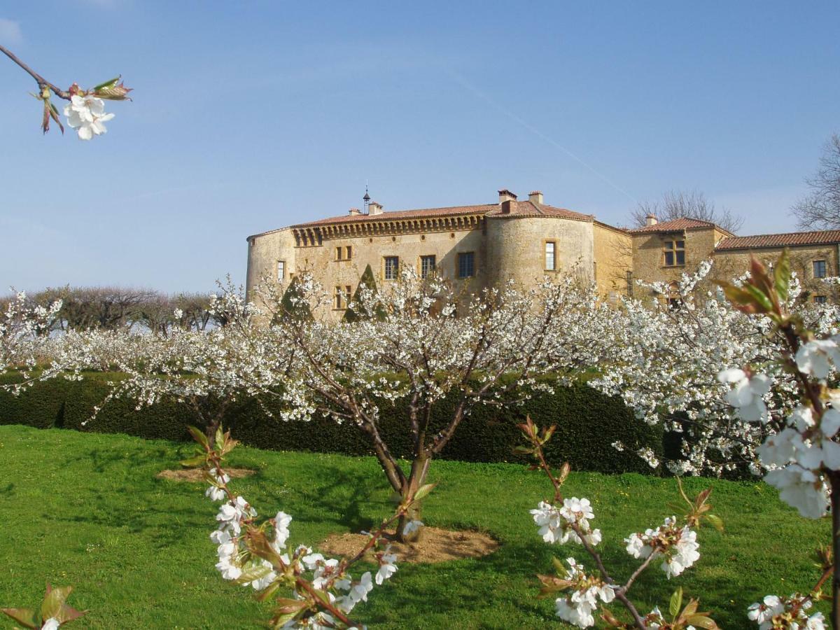 Chateau De Bagnols Esterno foto